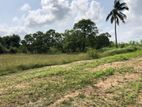 5 Acre Bare Land for Sale in Karukumaduwa