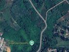 5 acre Land for sale - Bentota | (EM055VW)