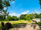 5 Acre LAND FOR SALE - WENNAPPUWA Puttalam District