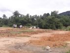 5 Acre supreme land for sale in Alawwa - Kegalle (C7-7156)