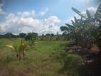 5 Acres Agricultural Land for Sale in Puttlam, Karuwalagaswewa