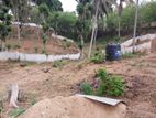 5 Acres Agricultural Land for Sale – Kandy