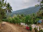 5 Acres Agricultural Land for Sale – Kandy