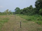 5 Acres Coconut Land for Rent Ehetuwewa