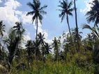 5 Acres Commercial Land for Sale in Nalla, Mirigama.