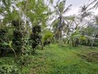 5 Acres Cultivated Land for Sale in Dompe