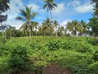 5 ACRES FOR SALE IN MATARA - CL542