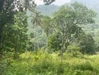 5 Acres Land for Sale in Dambulla (facing A-9 Road )