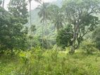 5 Acres Land for Sale in Dambulla