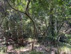 5 Acres Land For Sale In Dambulla - Kandalama