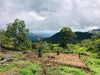 5 acres land for sale in Ella