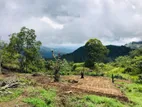 5 acres land for sale in Ella
