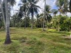5 Acres Land for Sale in Kirimatiyana , Wennappuwa