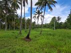 5 Acres Land For Sale In Kurunegala - Cl573