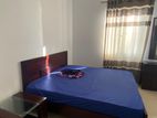 5 Bedrooms Apartment For Rent in Colombo 2 On320- PDA141
