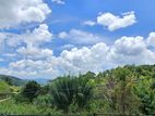 5 Blocks Land For Sale in Heeressagala