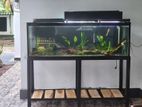 5 Feet Fish Tank