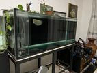 5 Feet Fish Tank