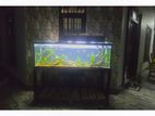 5 feet fish tank with all accessories