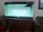 5 Feet Curve Aquarium Fish Tank