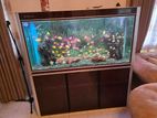 5 feet Imported fish tank
