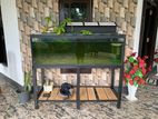 5 Feet Fish Tank