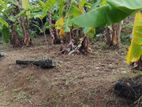 5 Perch Land in Kadawatha for Sale