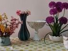 5 piece Vase Set