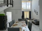 5 Rooms Furnished Apartment Rent in Colombo 6