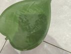 5 Set of Decorative Plates