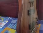 5 String Bass Guitar