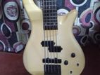 5 Strings Bass Guitar