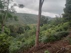 50 acre Land for sale in Ehaliyagoda