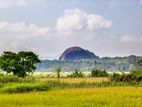 50+ acre Land for Sale in Sigiriya