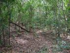 50 Acres Land for Sale in Dambulla