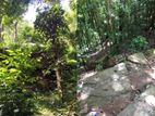 50 Acres Land for Sale – Perfect Farming or Eco Tourism\