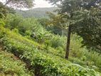 50 Acres of Scenic Land for Sale in Parakaduwa, Ehaliyagoda.