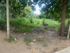 50 Perch Beautiful Land Near Sella Kataragama School for Sale
