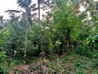 50 Perch Land for sale in Hikkaduwa