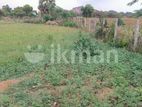 50 Perch Land for Sale in Kanniya,Trincomalee