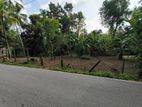 50-Perch Land for Sale in Naranowita, Elpitiya