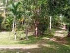 50 Perch Land for Sale – Kurunegala