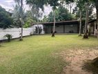50 Perch Land in Akuregoda,Malabe – Prime Investment Opportunity|SL14861