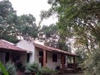 50 Perch Land with Bungalow for Sale in , Maharagama |LKR 200 Mn(LA4700)