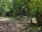 50 Perche Land for Sale Anuradhapura