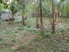 50 Perches Land for Sale in Galenbidunuwewa