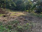 50 Perches Land for Sale In Koskanda Road, Halthota (Near Pokunuwita)