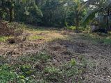 50 Perches Land for Sale In Koskanda Road, Halthota (Near Pokunuwita)