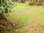 50 Perches Land Sale in Polgahawela
