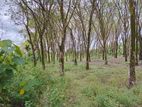 500 Perch Land for Sale in Athurugiriya - Wide Access Roads/clear Deeds